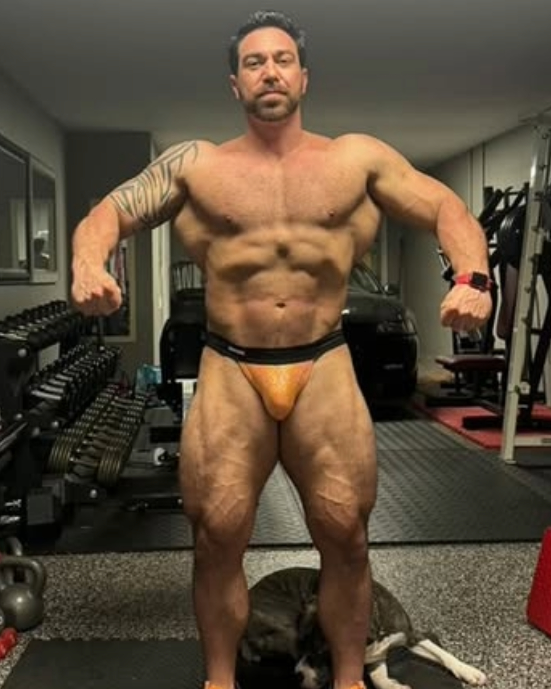 Jockstrap